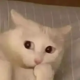 Samik Pal ForMyAnime Profile Picture